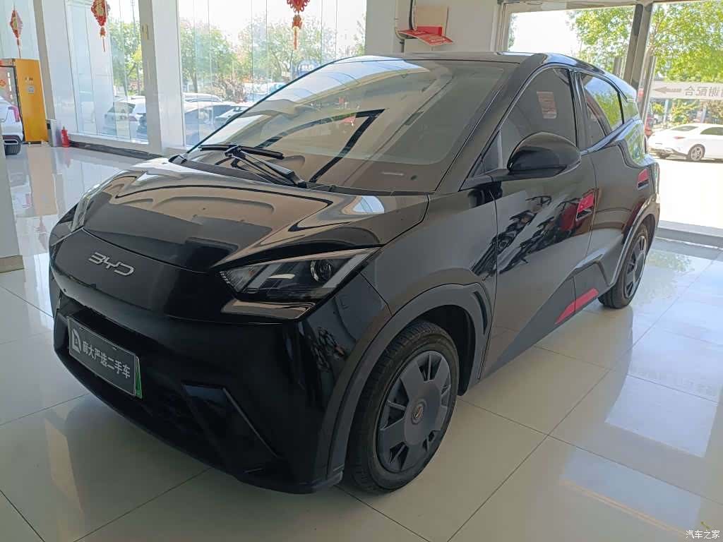 BYD Seagull, 2024 1