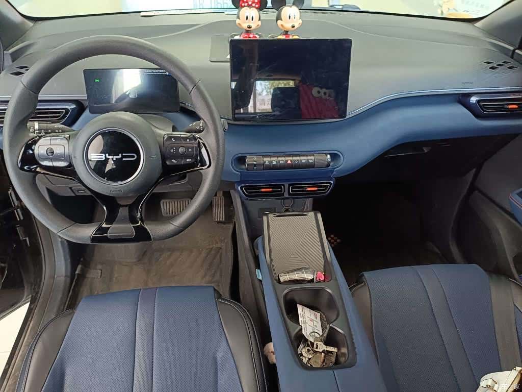 BYD Seagull, 2024 8