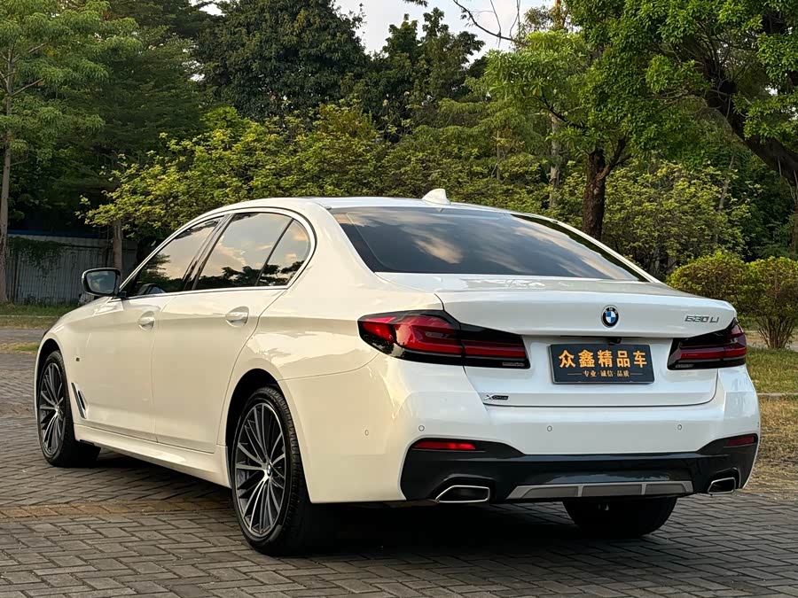 BMW 5 Series 2022, фото 14