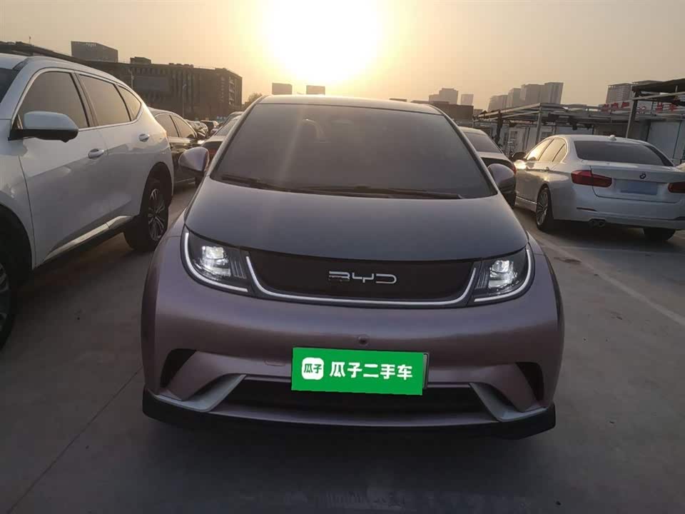 BYD dolphin
