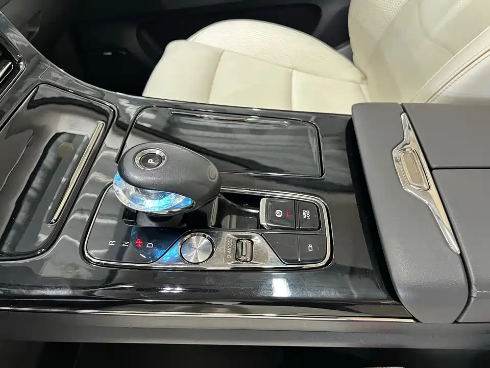 Trumpchi Trumpchi E9