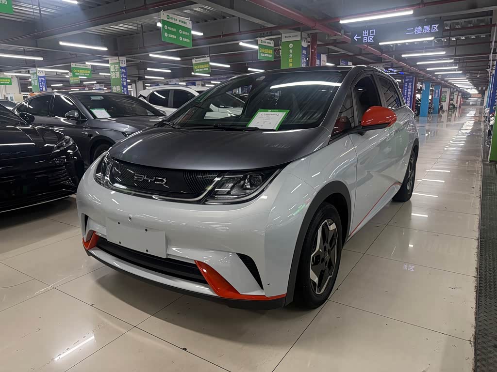 BYD Dolphin