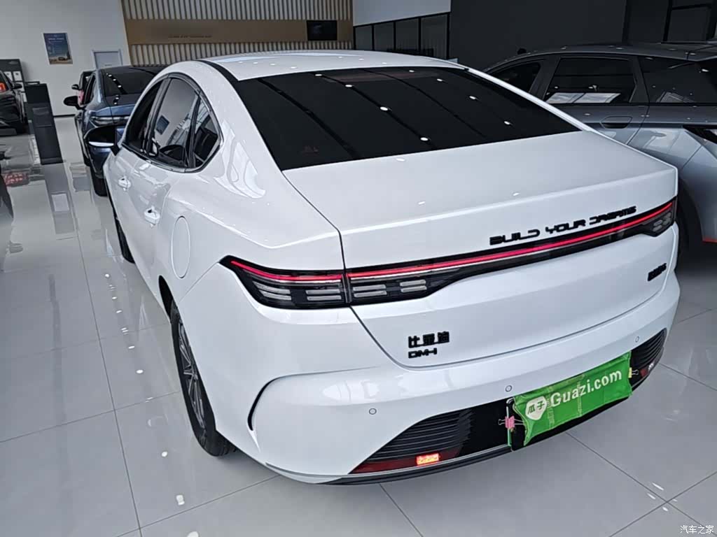 BYD Destroyer 05, 2024 все фото