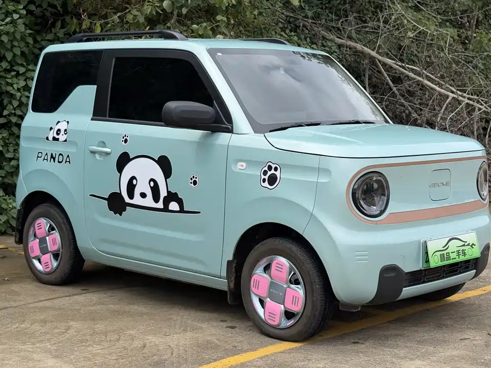Geely Galaxy panda