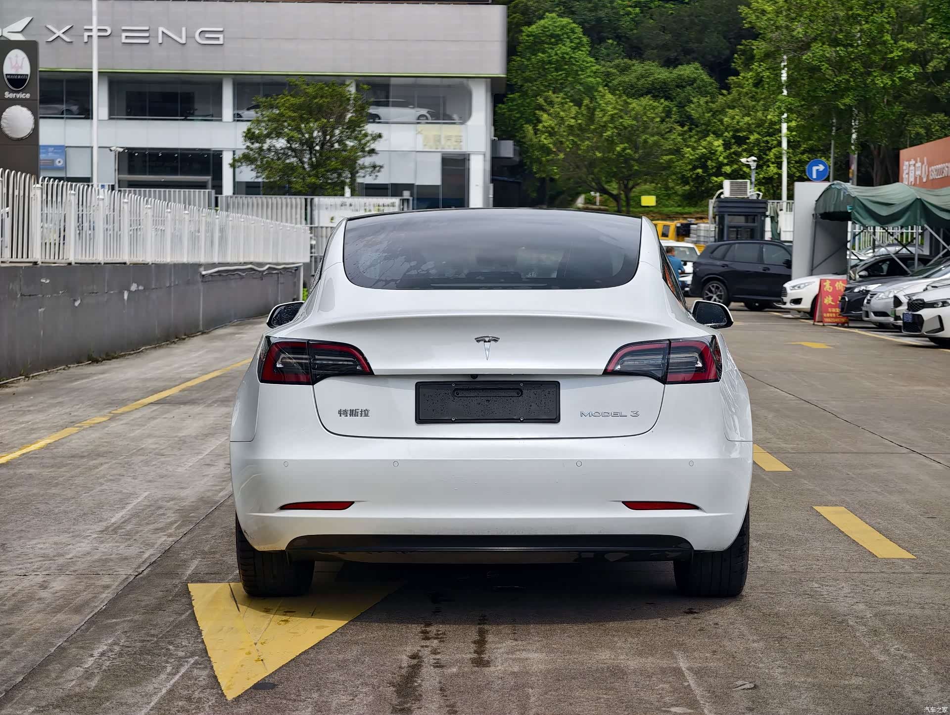 Tesla Model 3, 2021 все фото