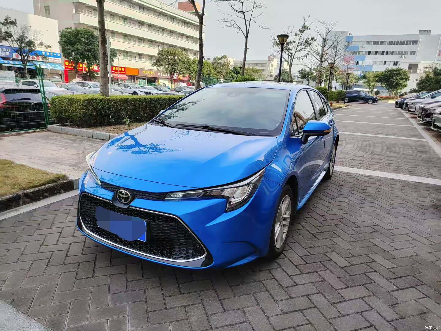 Toyota Levin