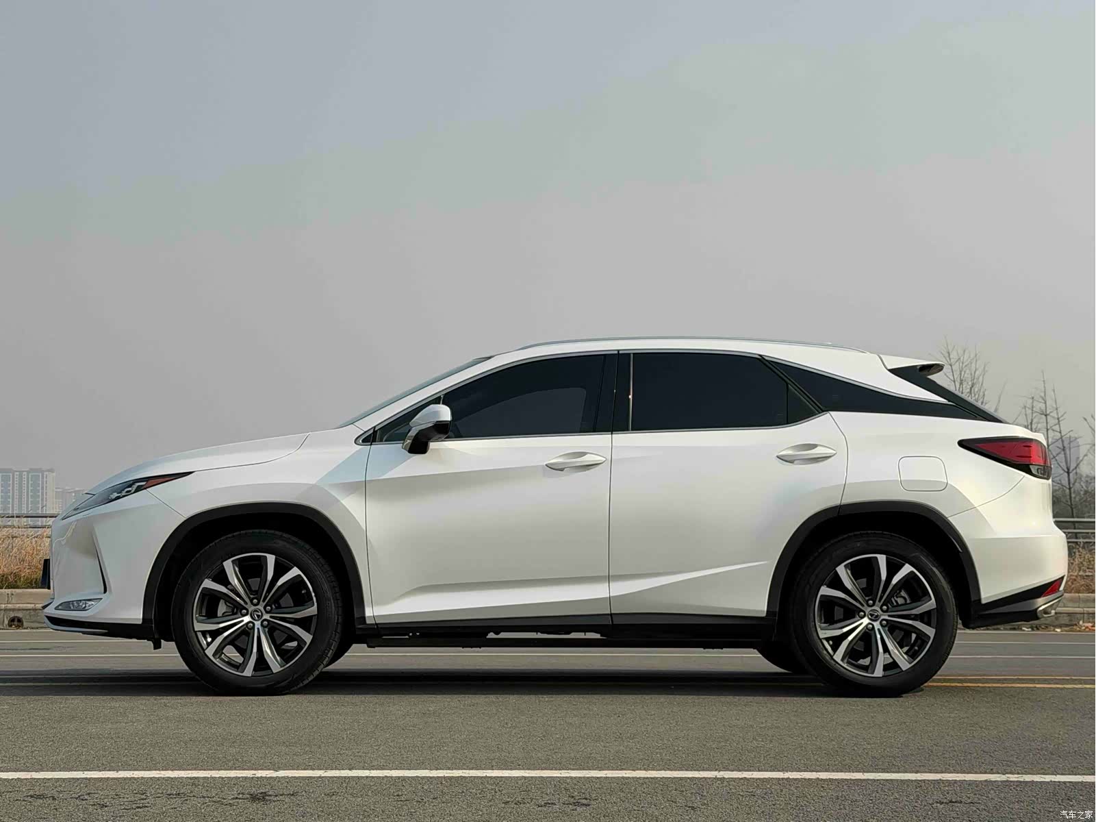 Lexus RX, 2020 4