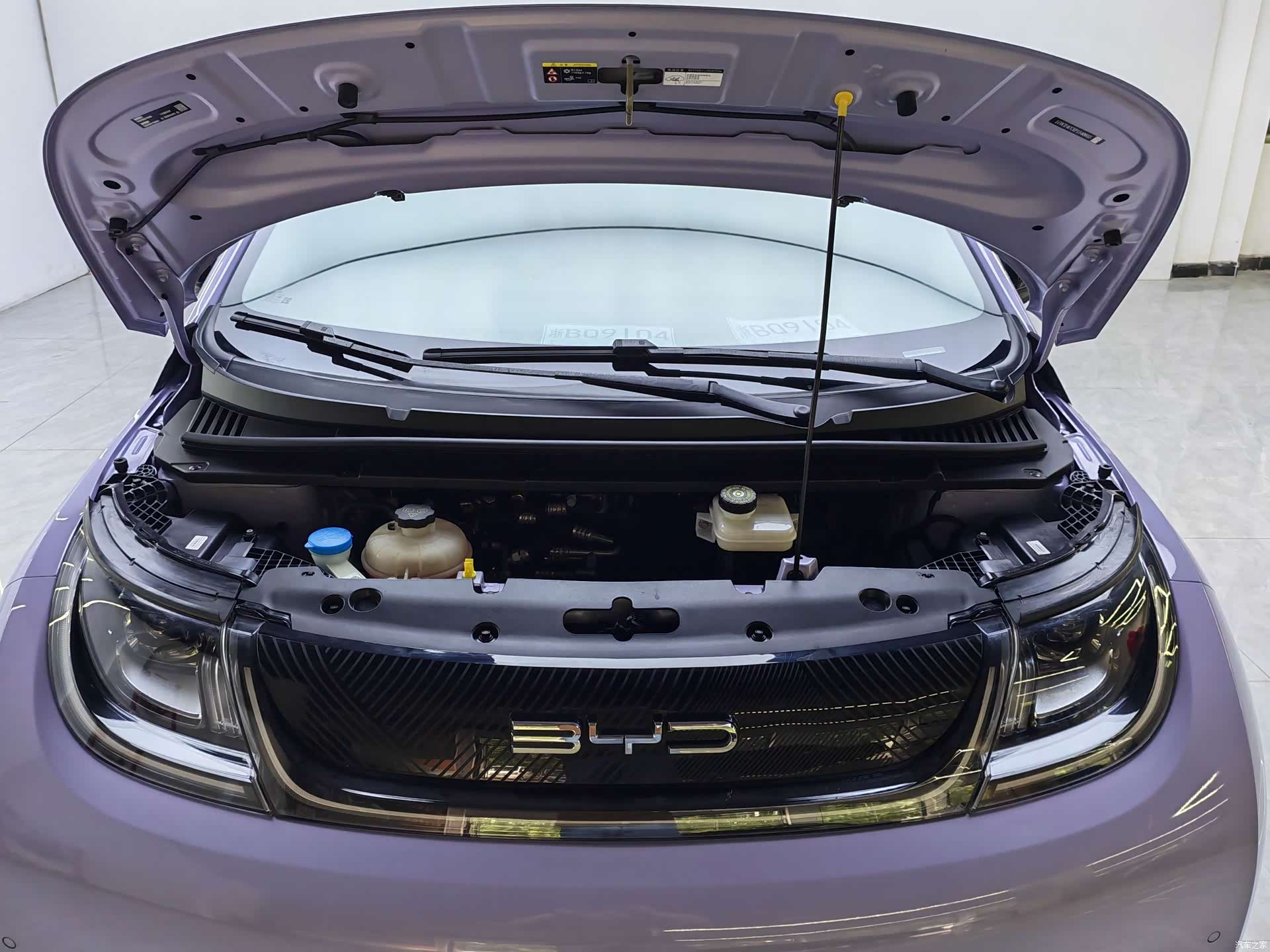 BYD Dolphin, 2024 18