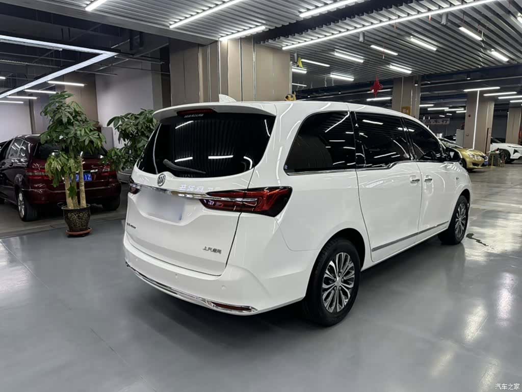 Buick GL8, 2021 8