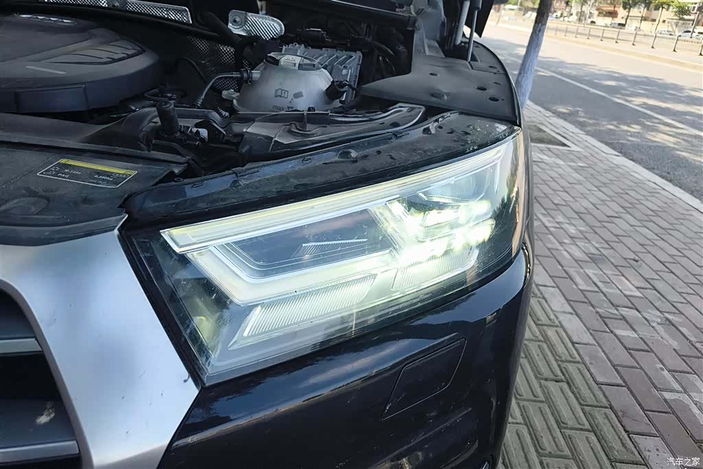 Audi Q5L, 2020 все фото