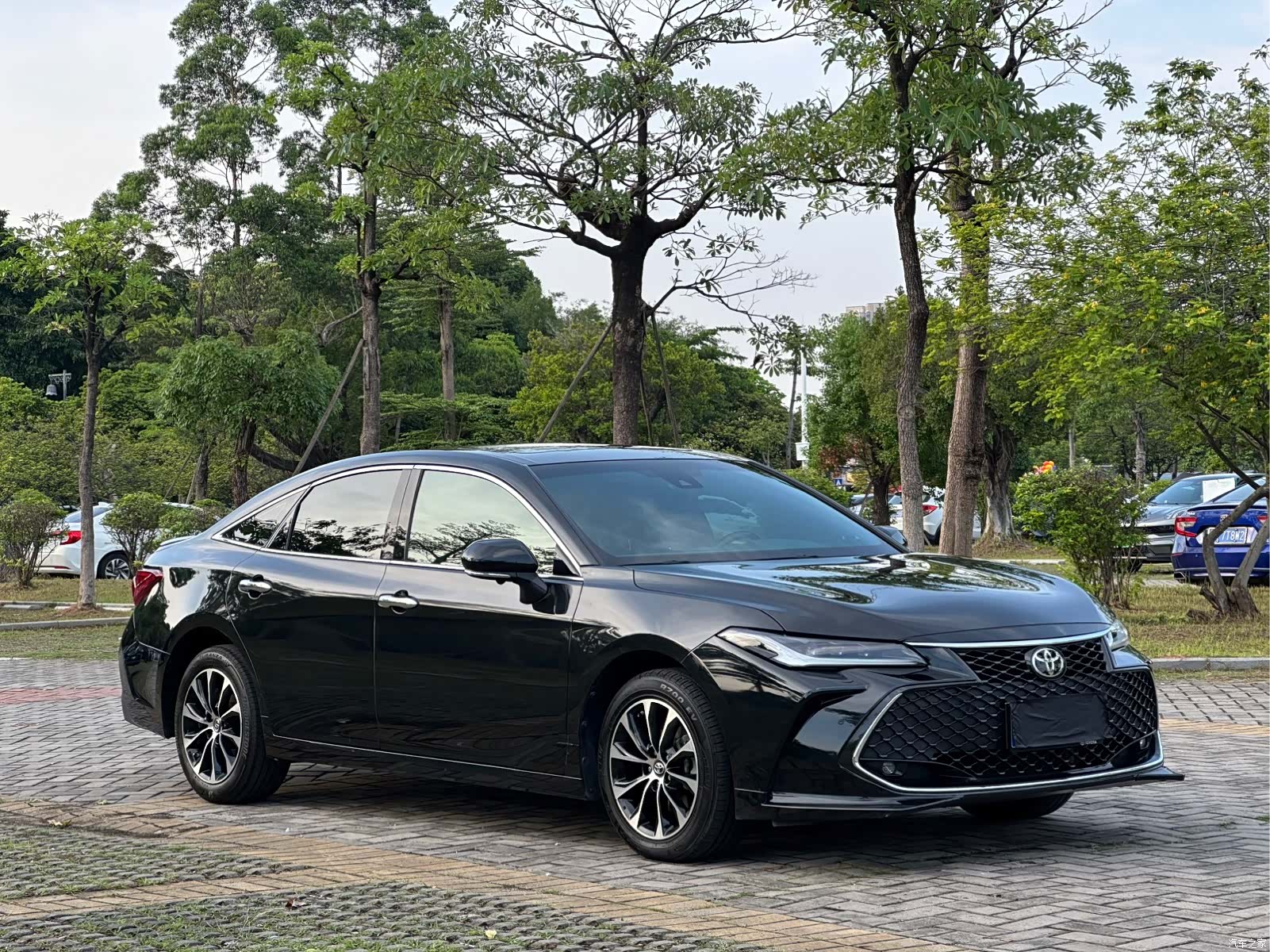 Toyota Avalon, 2024 3