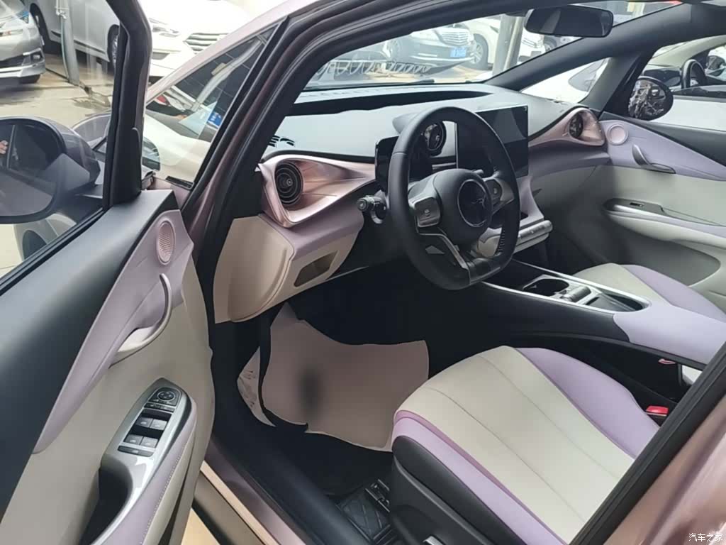BYD Dolphin, 2023 16