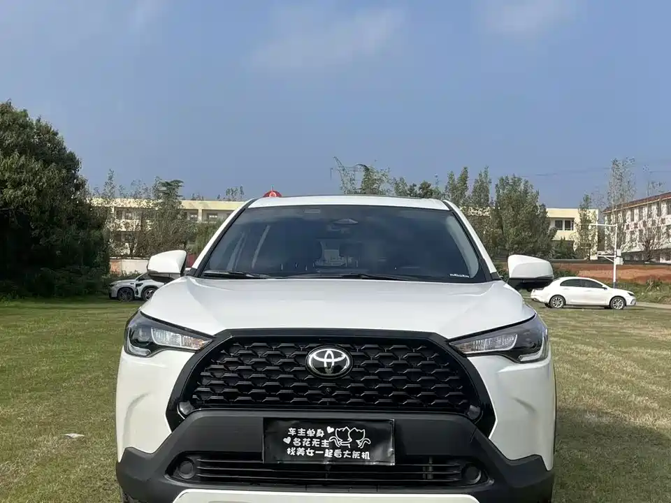 Toyota Corolla Sharp amplifier