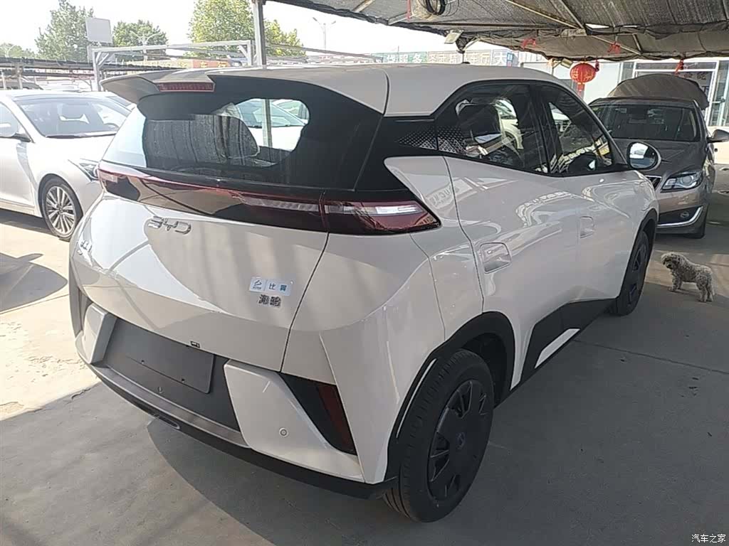 BYD Seagull, 2026 7
