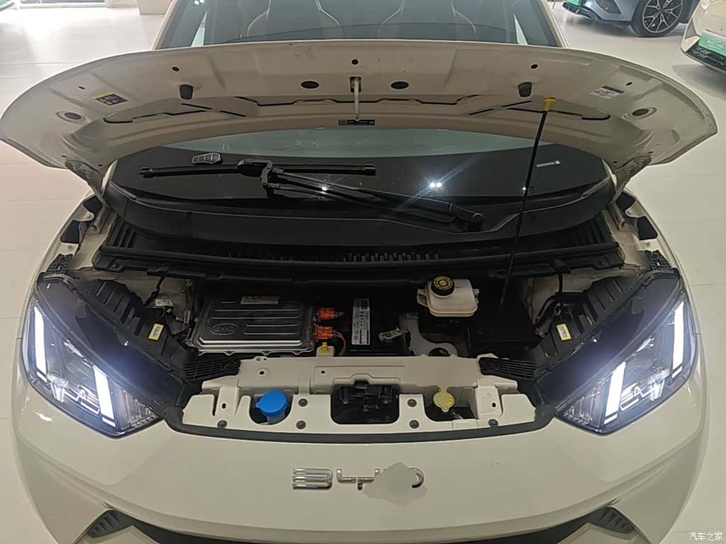 BYD Seagull, 2024 20
