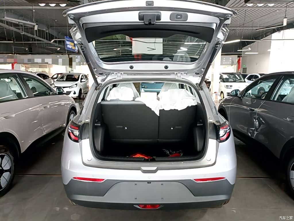 Geely Xingyuan, 2026 19
