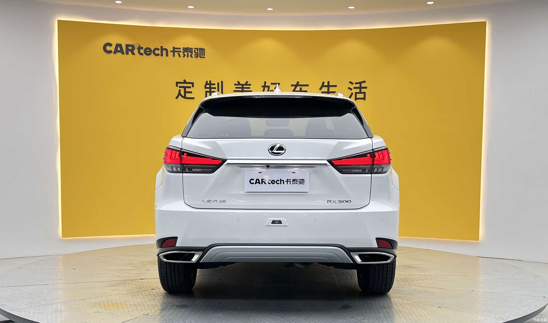 Lexus RX, 2022 25