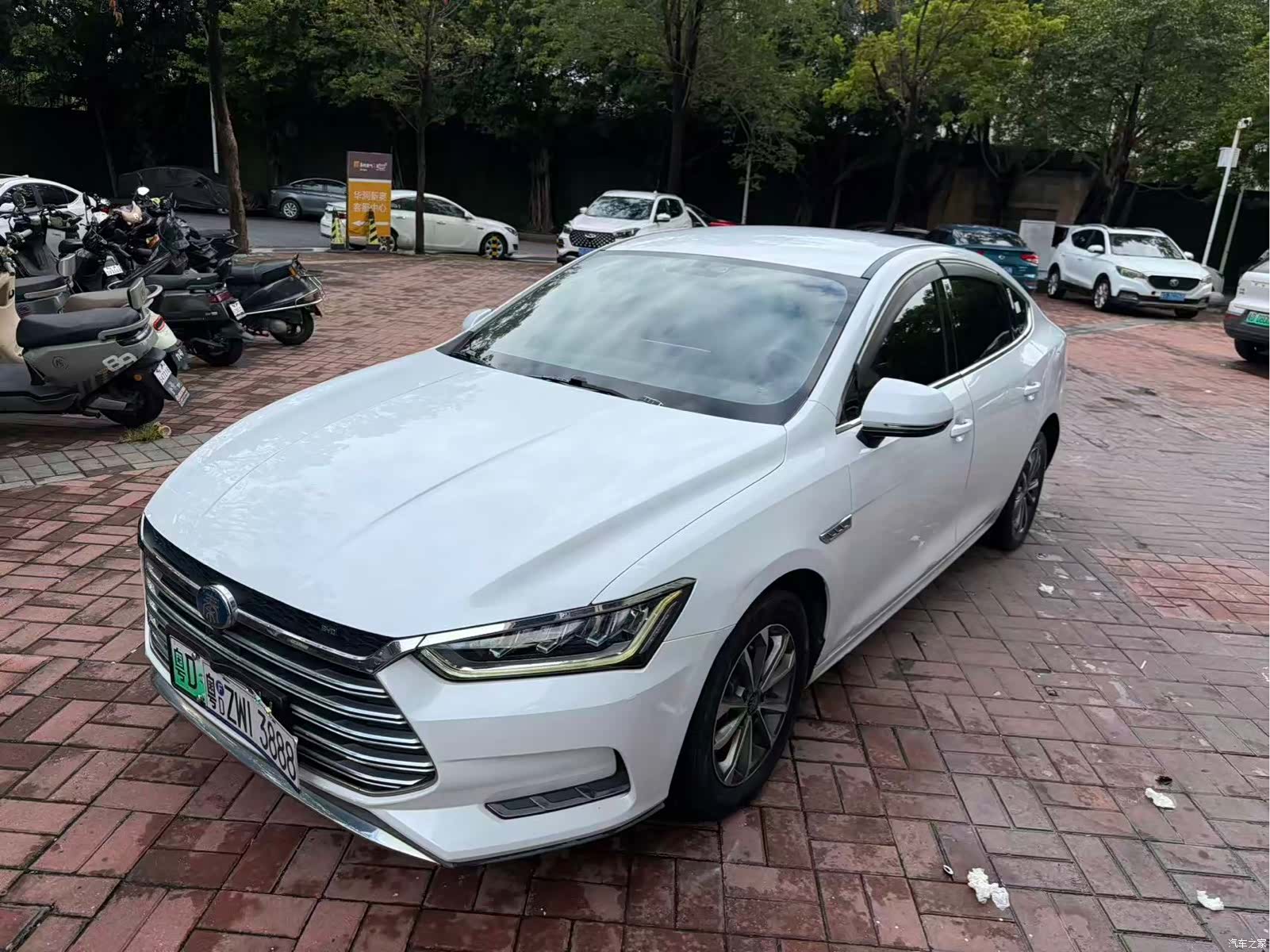 BYD Qin, 2019 1