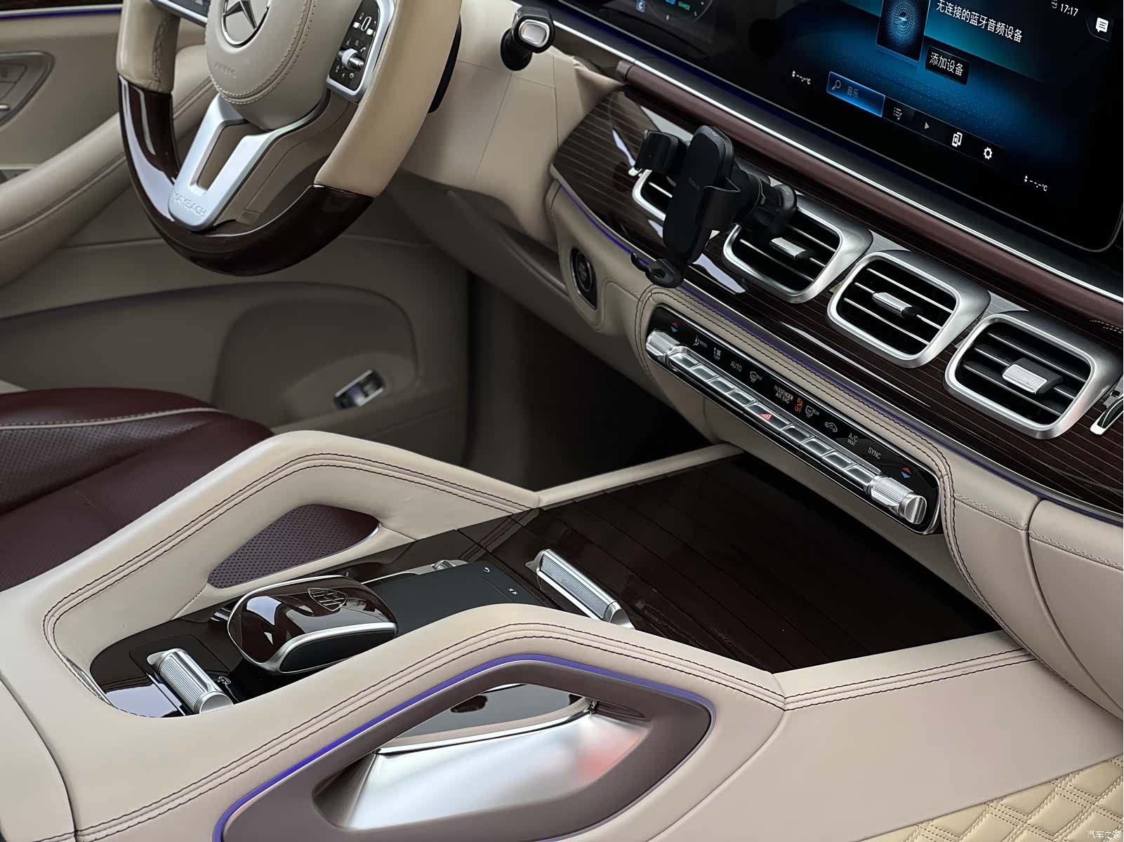 Maybach GLS, 2021 13