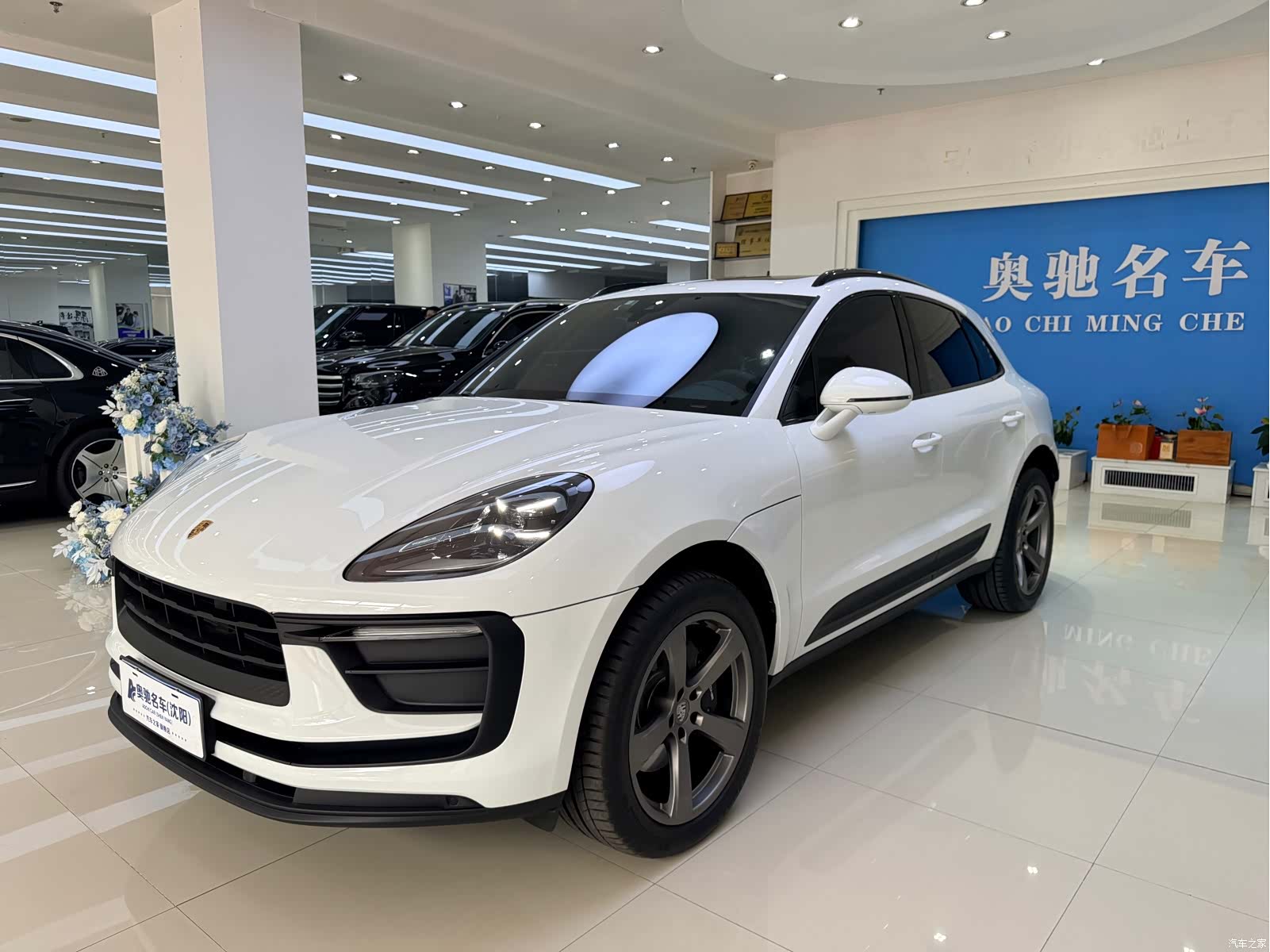 Macan Macan, 2025 1