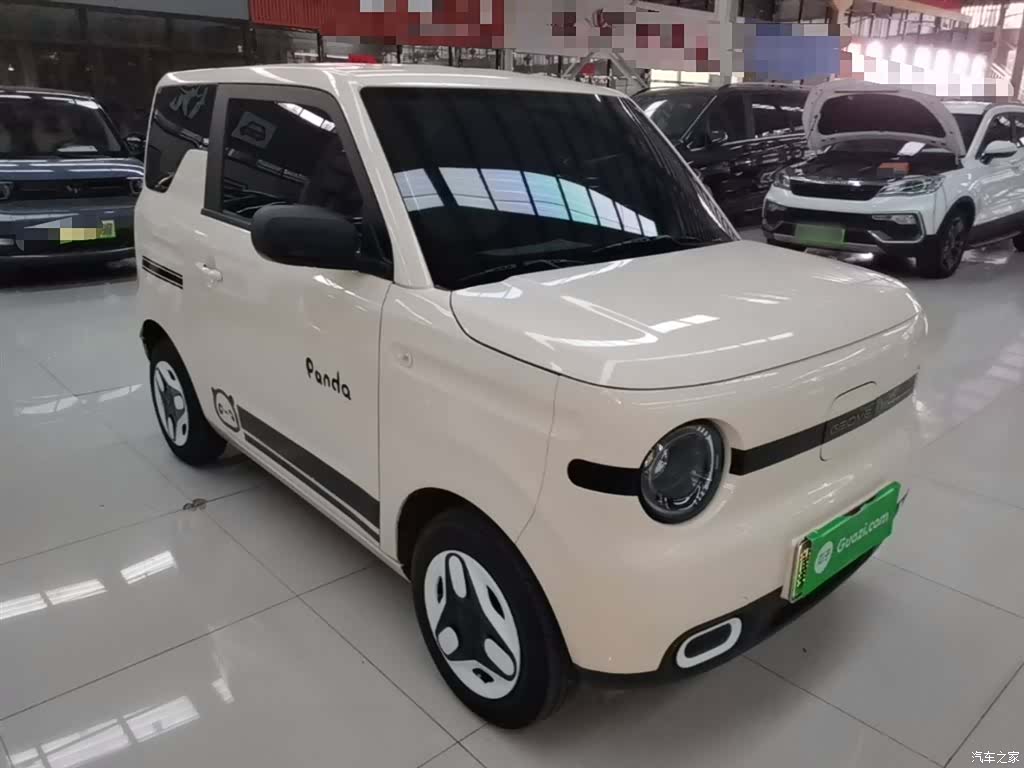 Geely Panda, 2025 4