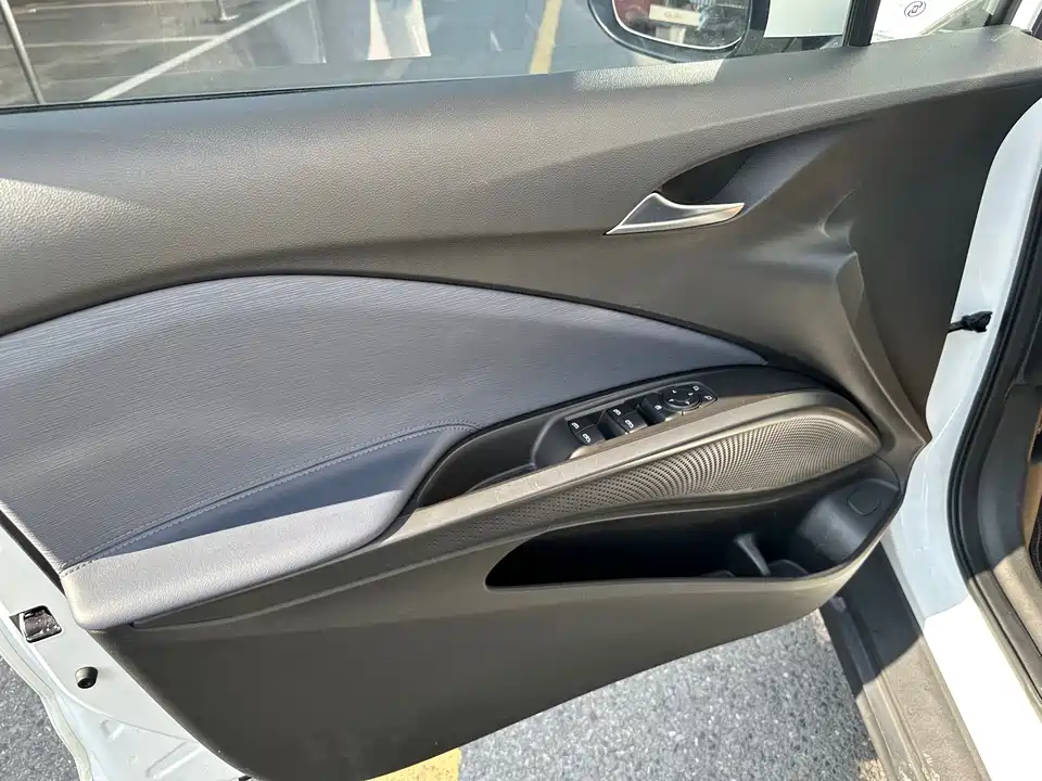 Buick Slightly blue 6