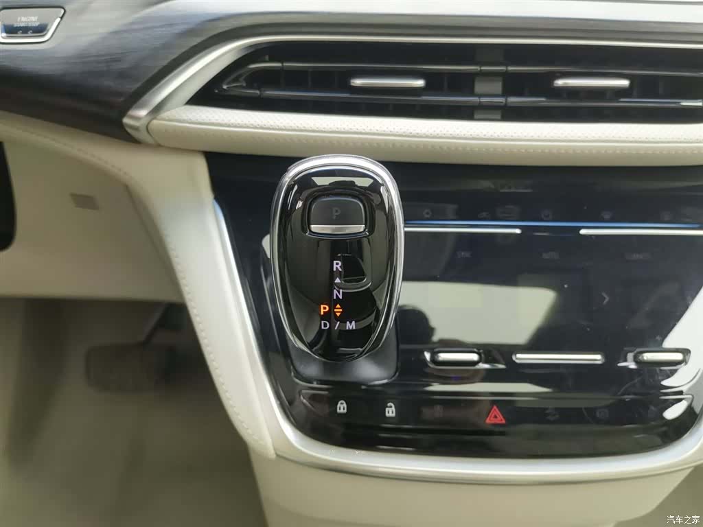 Buick GL8, 2020 13