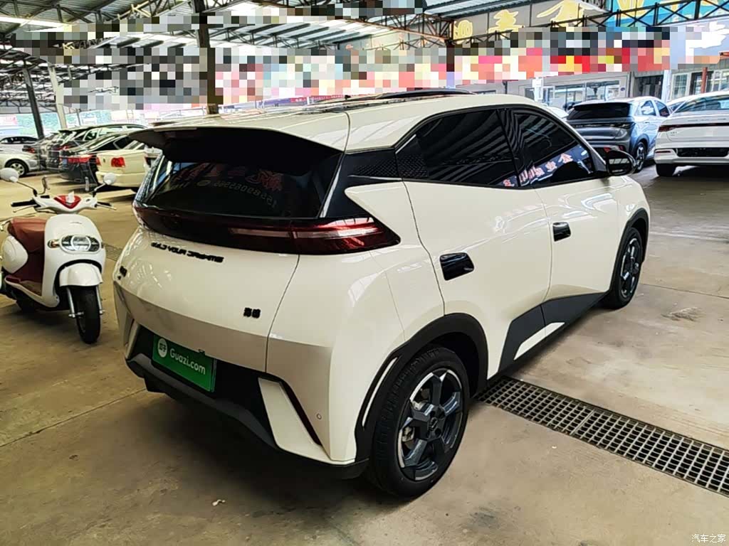 BYD Seagull, 2024 7