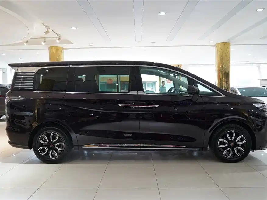 Hongqi HQ9