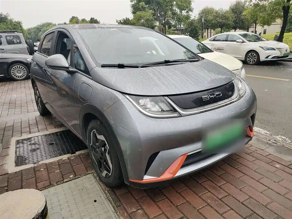 BYD dolphin