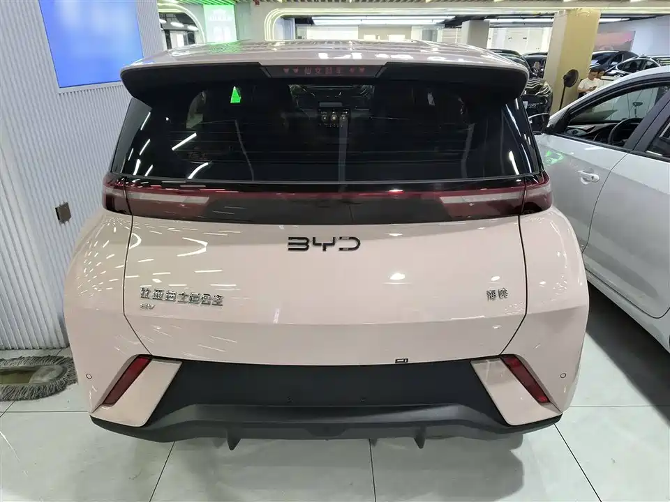 BYD Seagull