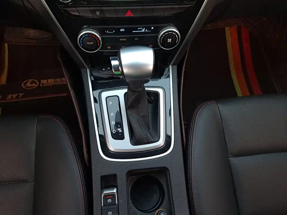 Leopaard Cheetah CS10