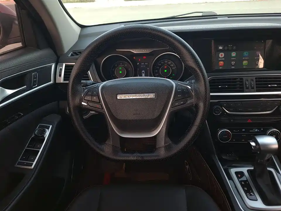 Leopaard Cheetah CS10