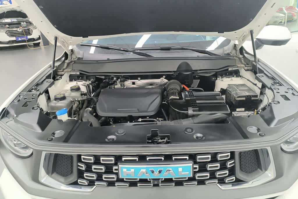 Haval Big Dog, 2023 10