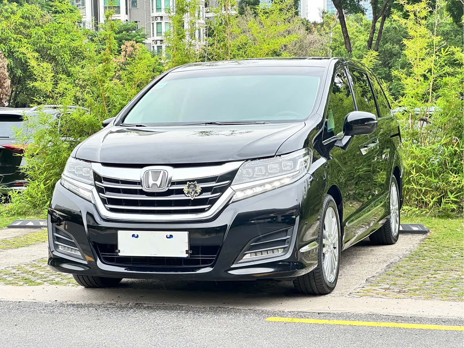 Honda Elysion, 2019 1