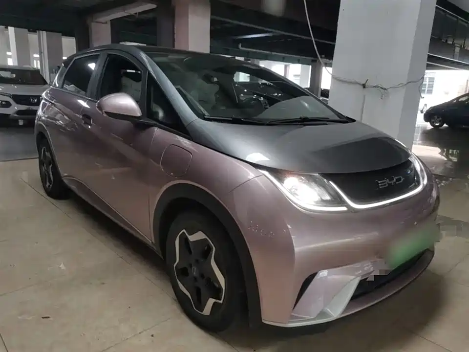 BYD dolphin