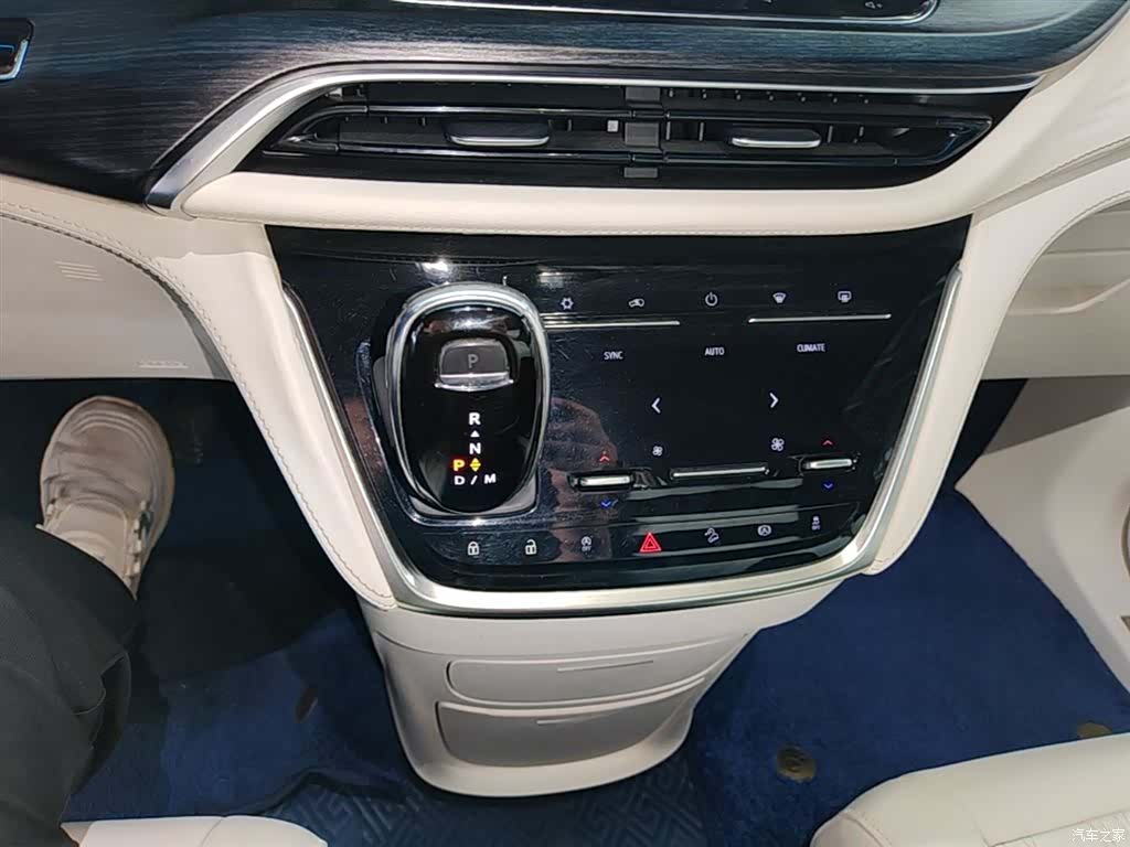Buick GL8, 2020 14