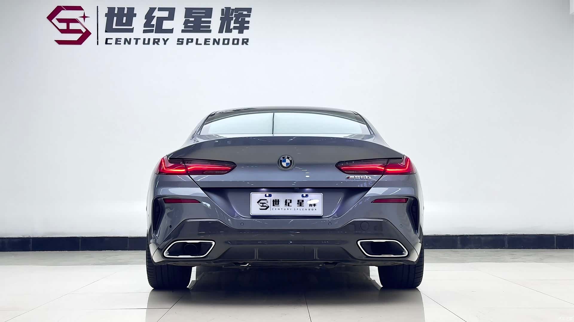 BMW 8 Series, 2023 6