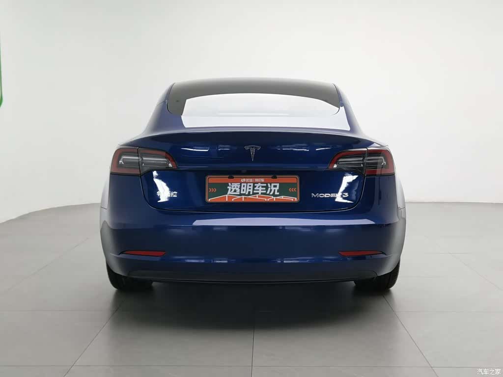 Tesla Model 3, 2021 4
