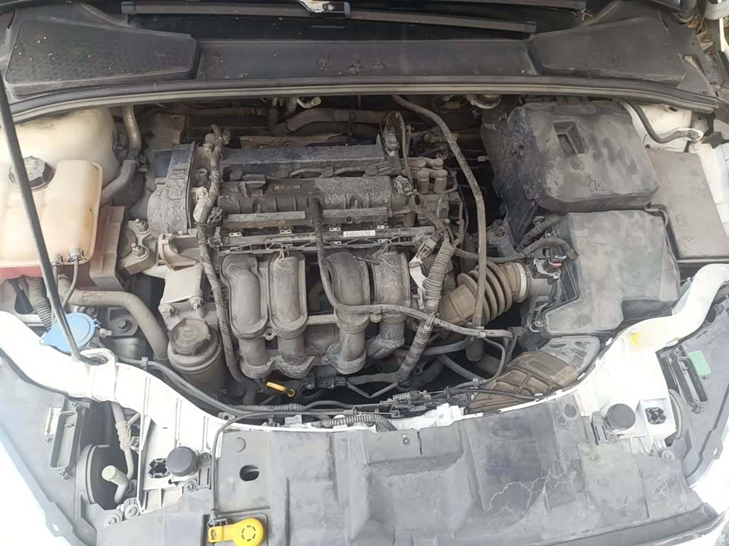 Ford Focus, 2019 11
