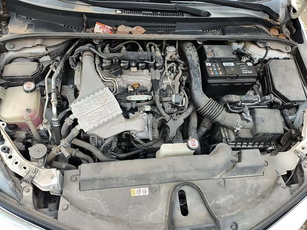 Toyota Corolla, 2019 11