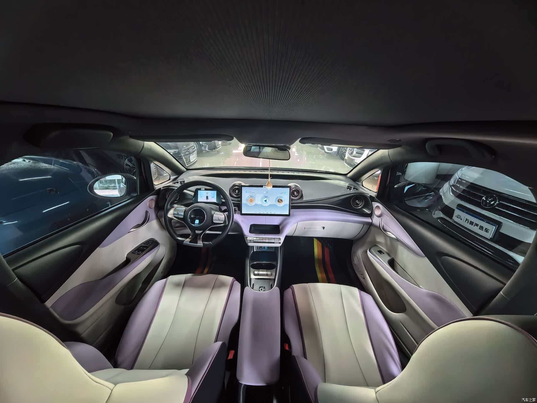 BYD Dolphin, 2022 8