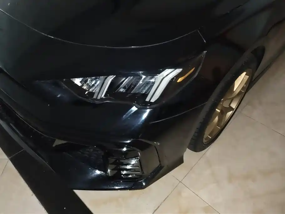 Trumpchi Shadow Leopard