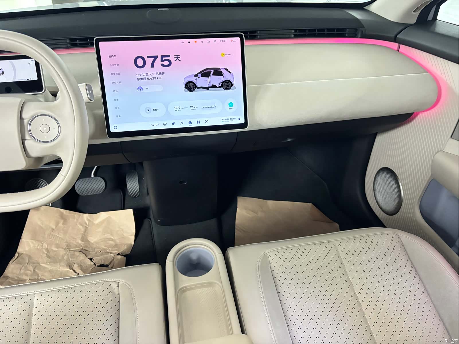 NIO firefly, 2025 10