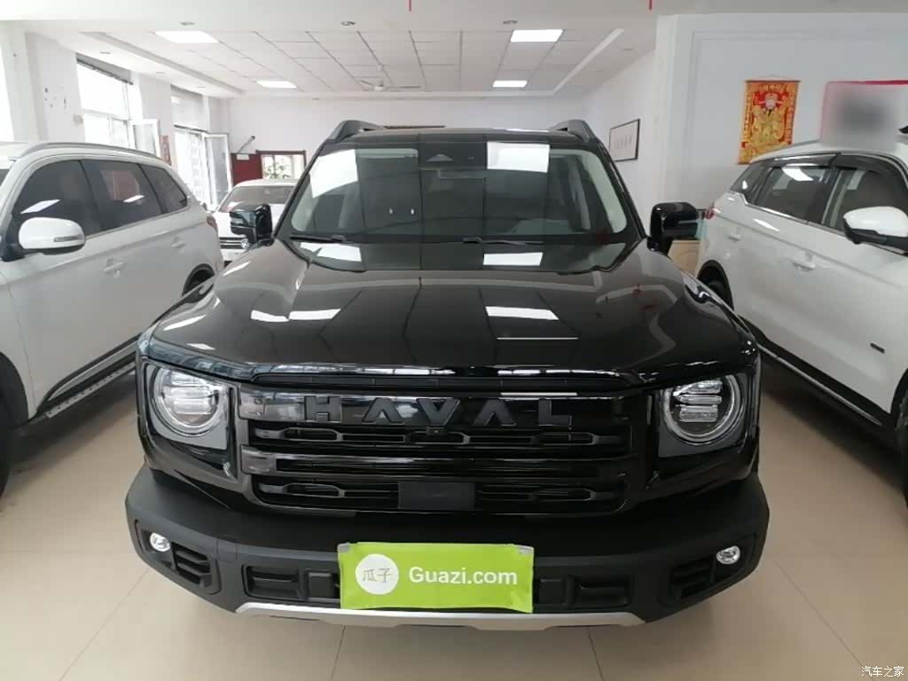 Haval Big Dog, 2024 3