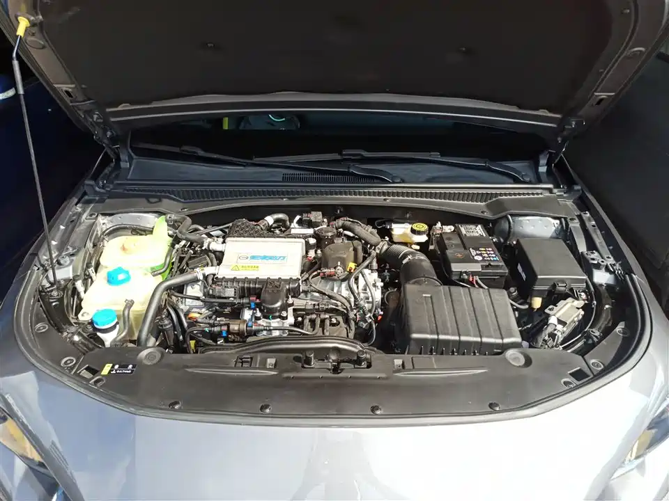 Trumpchi Shadow Leopard