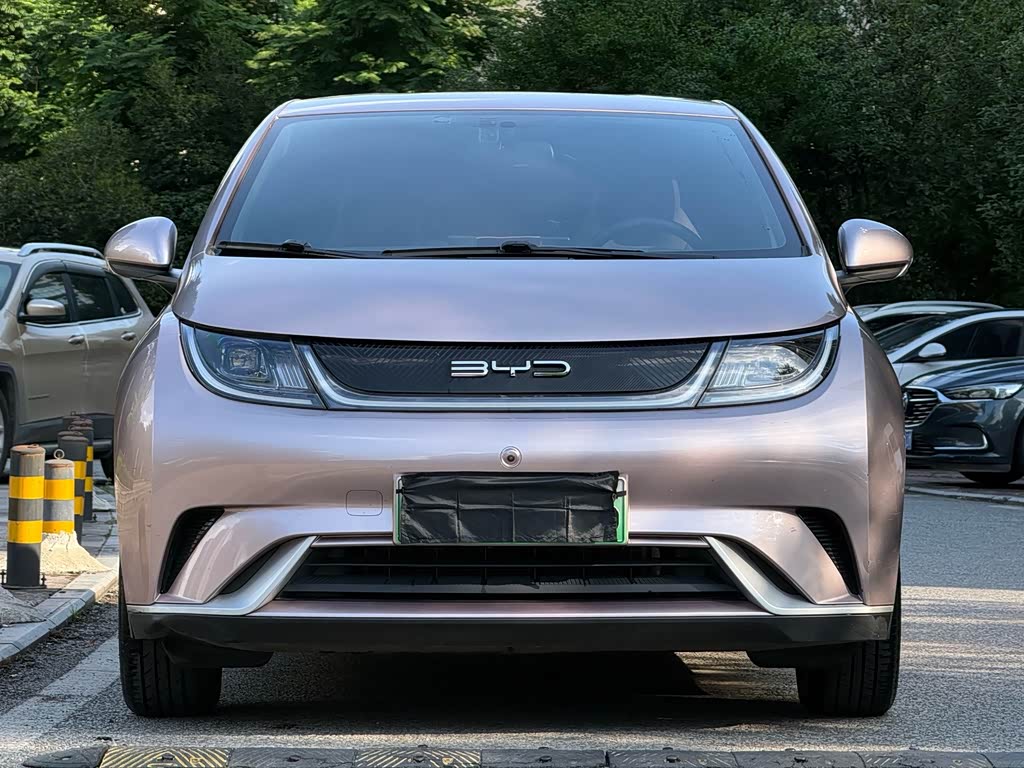 BYD Dolphin