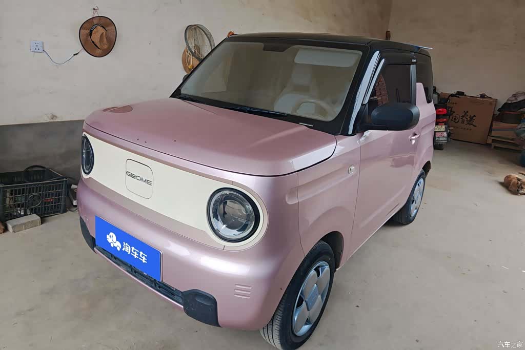 Geely Panda, 2023 1