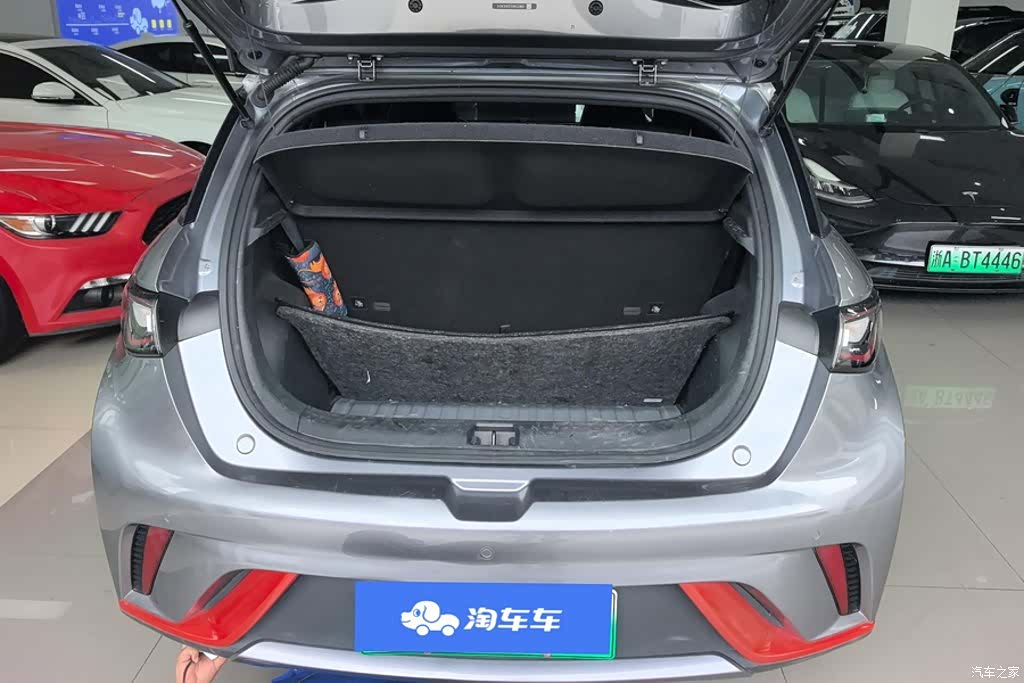 BYD Dolphin, 2022 4