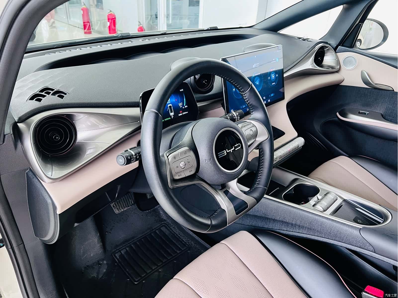 BYD Dolphin, 2024 12